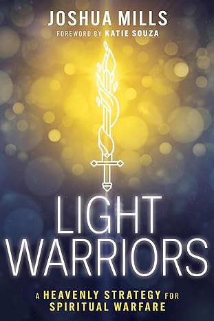 Light warrior's a heavenly strategy for spiritual warfare